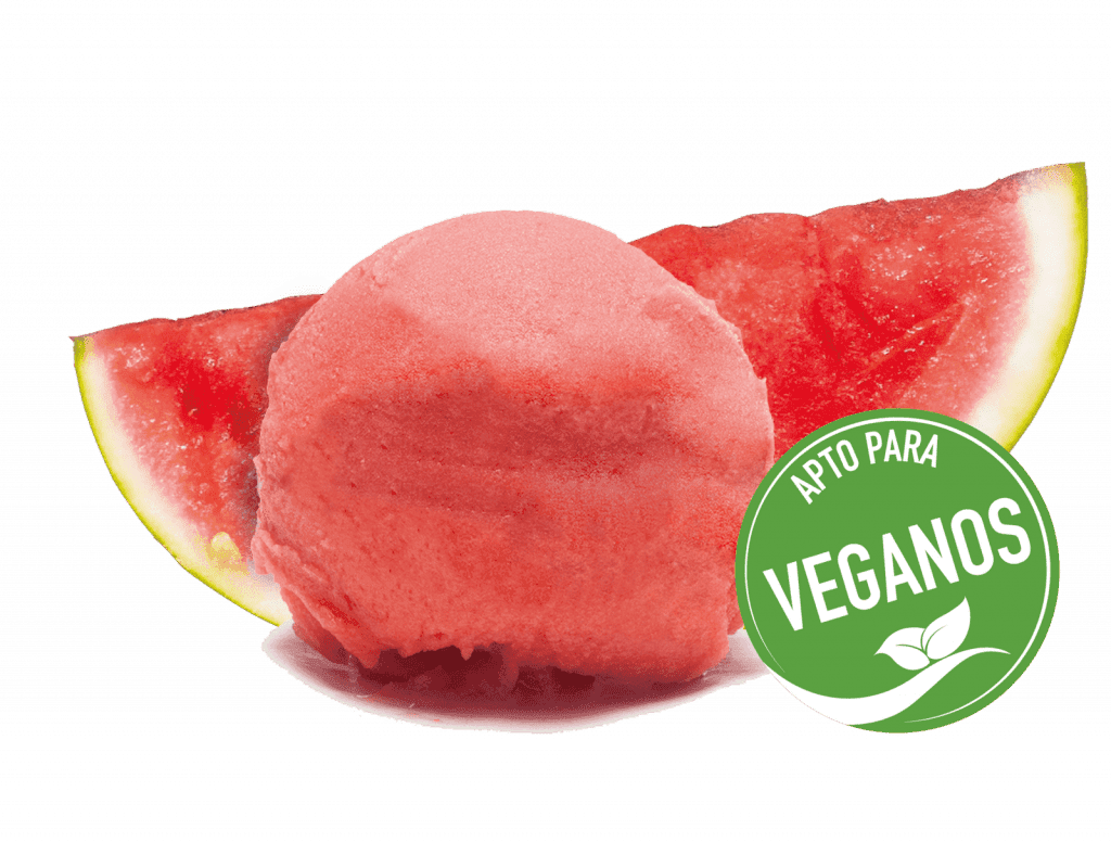 Wassermelonensorbet 🌱